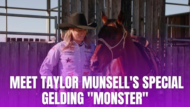 Meet Taylor Munsell's Special Gelding...