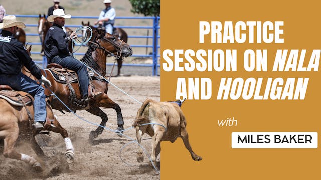 Practice Session on Nala and Hooligan