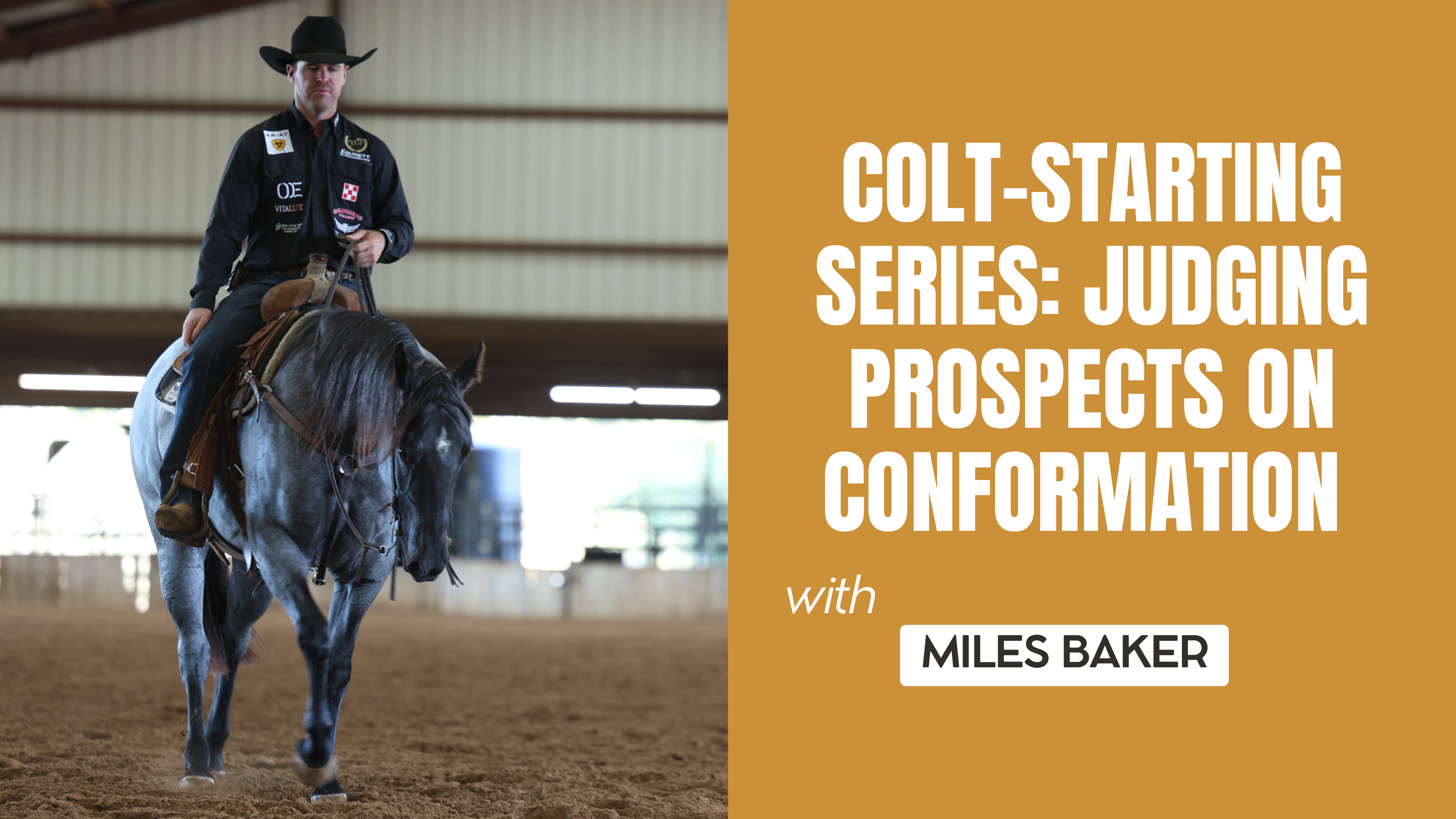 Colt-Starting Series: Judging Prospects on Conformation