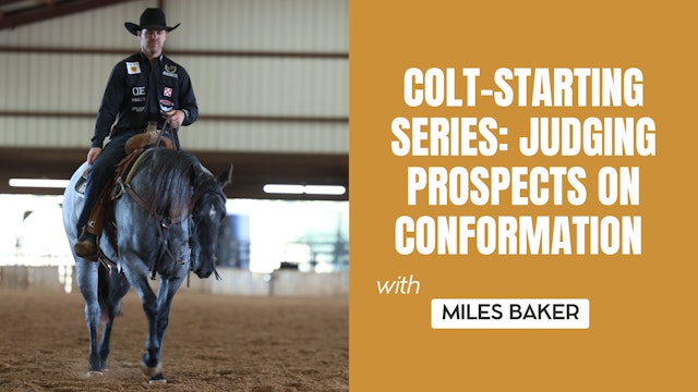 Colt-Starting Series: Judging Prospects on Conformation