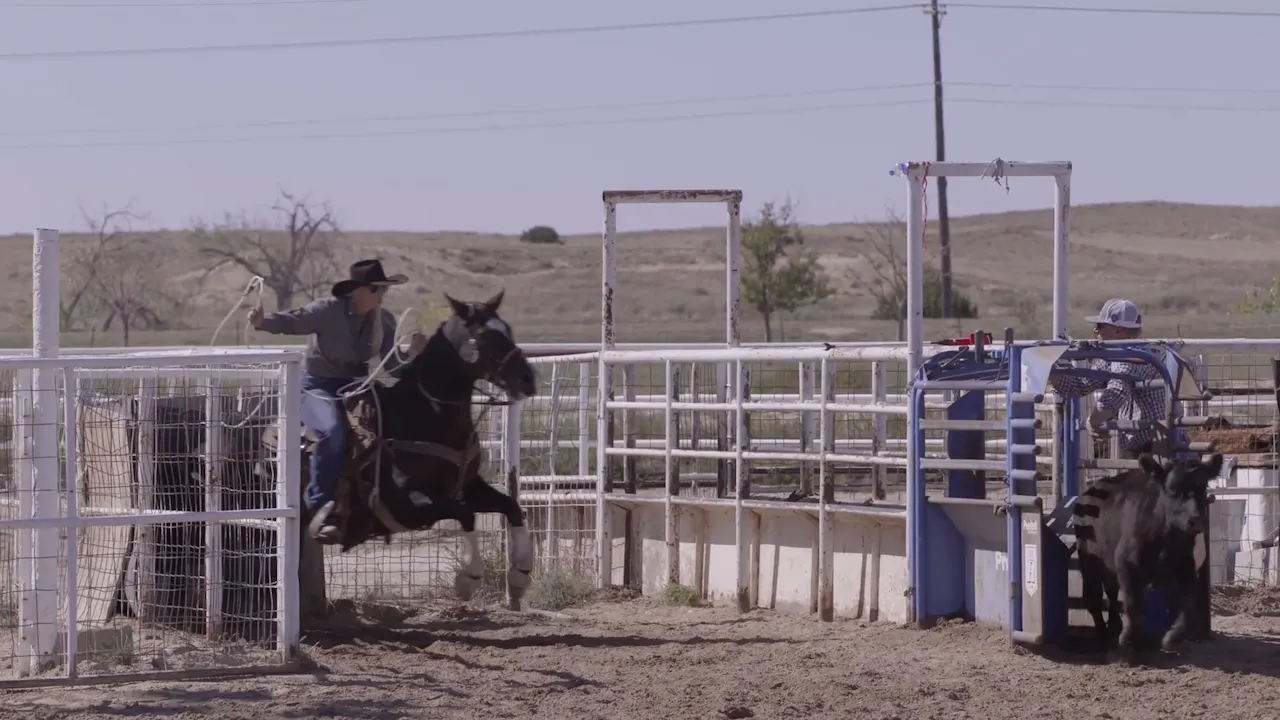 The Benefits and Downfalls of Roping on a Multi-Event Horse - Roping․com