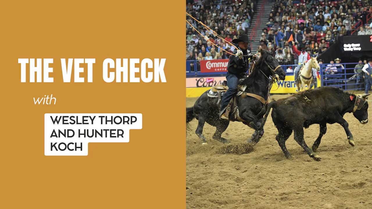 The Vet Check - Roping․com