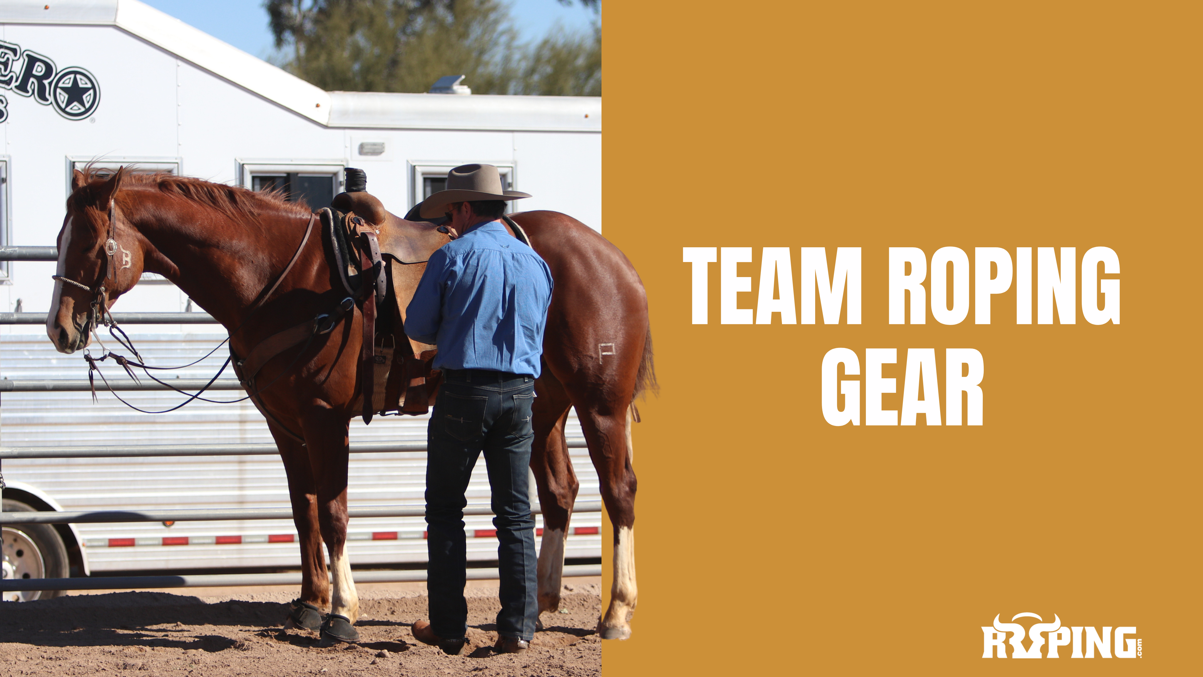 Team Roping Gear