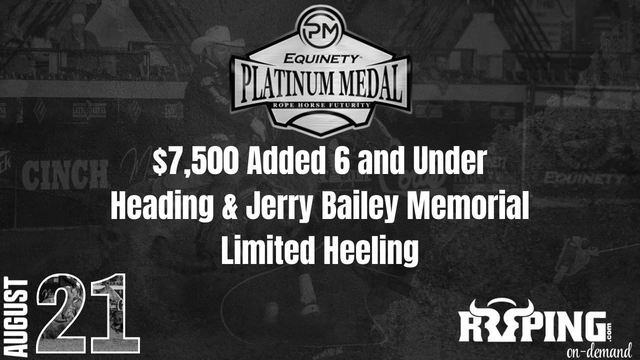 6 & Under Open Heading and Limited Heeling | Platinum Medal Futurity | 8/21/24