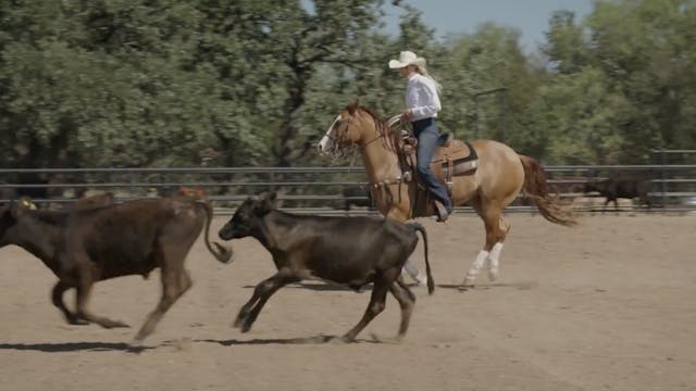 Pen Roping on a 3-Year-Old Filly with...