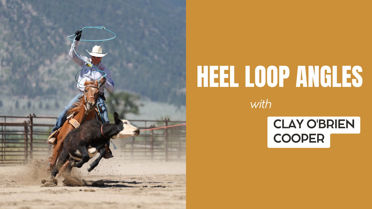 Heel Loop Angles - Heeling Fundamentals - Roping․com