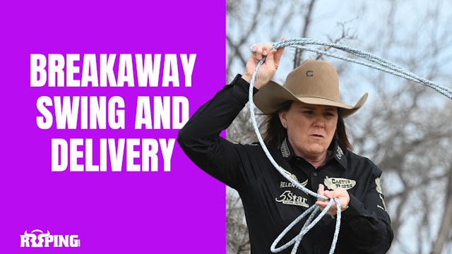Breakaway Swing & Delivery