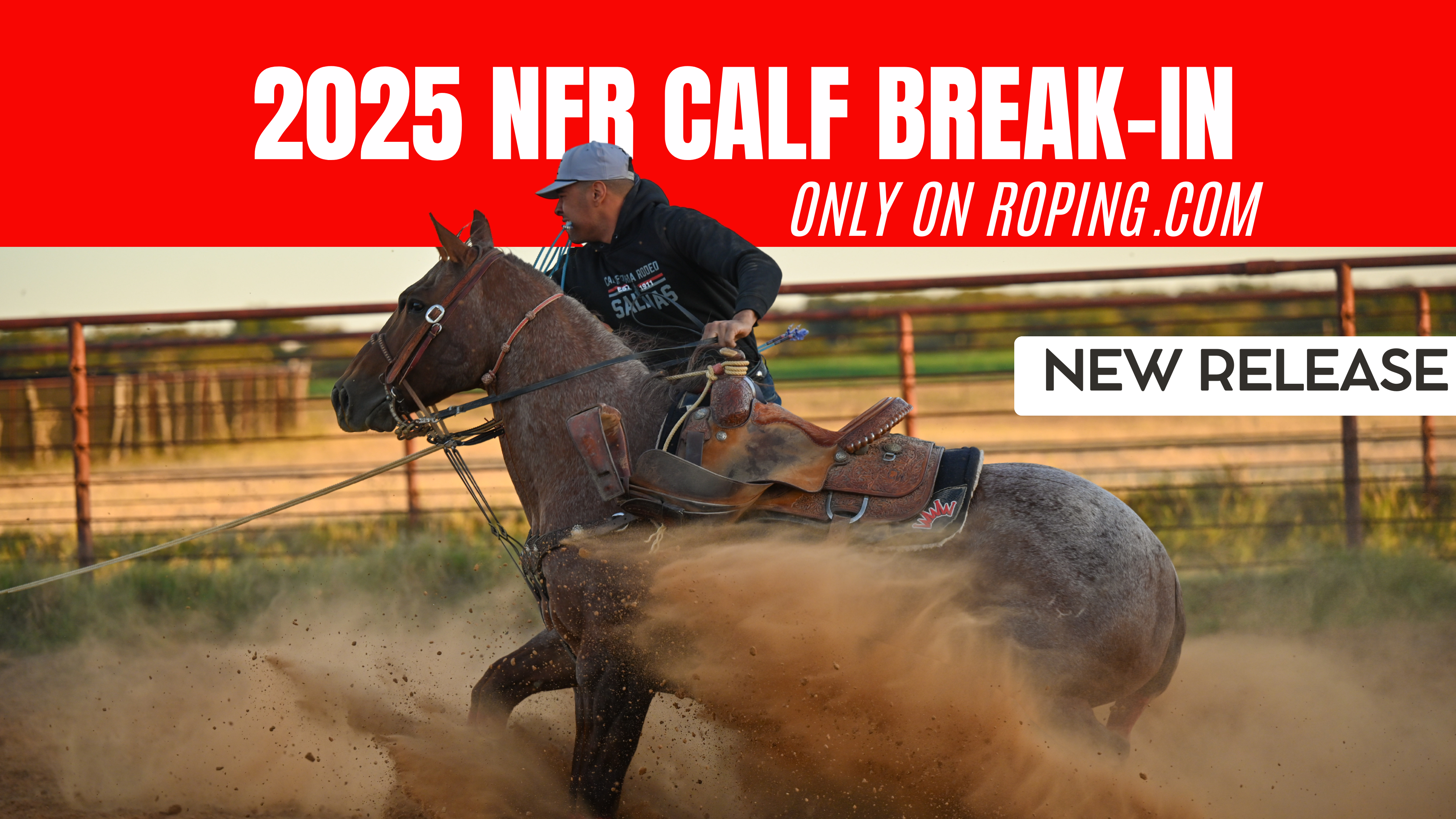 2025 NFR Calf Break-In
