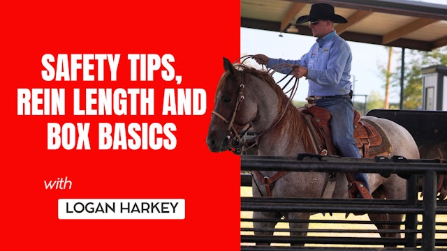 Safety Tips, Rein Length and Box Basics