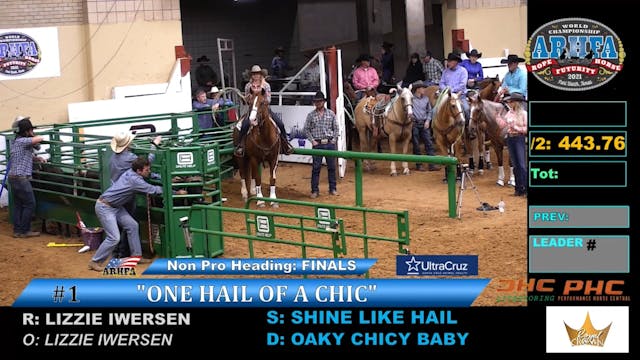 2021 ARHFA Futurity Non Pro Heading S...