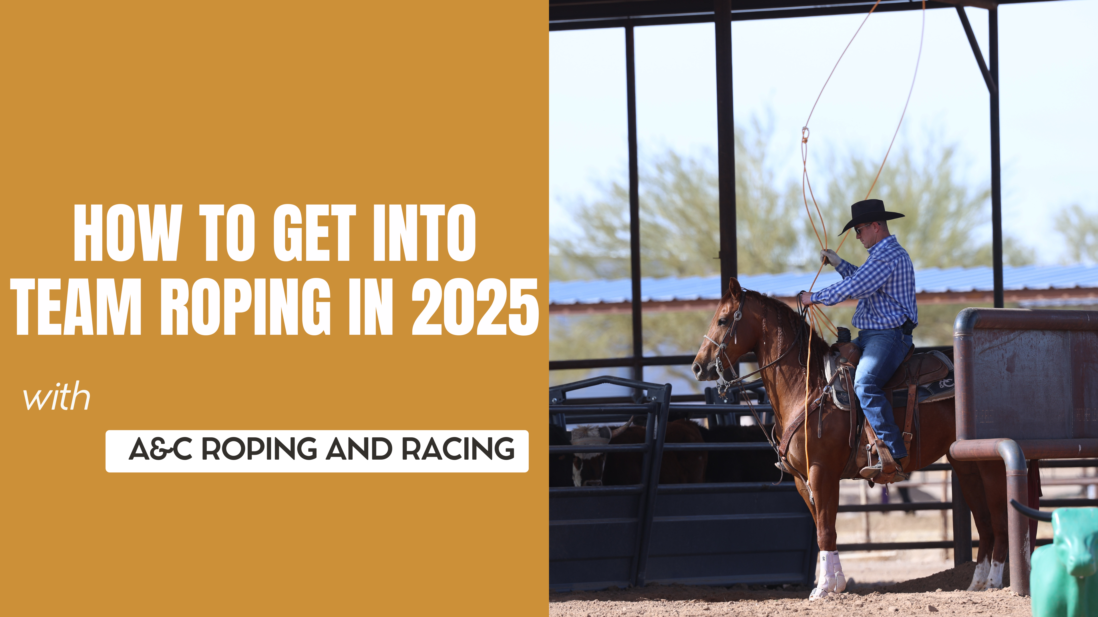 How to Get Into Team Roping in 2025