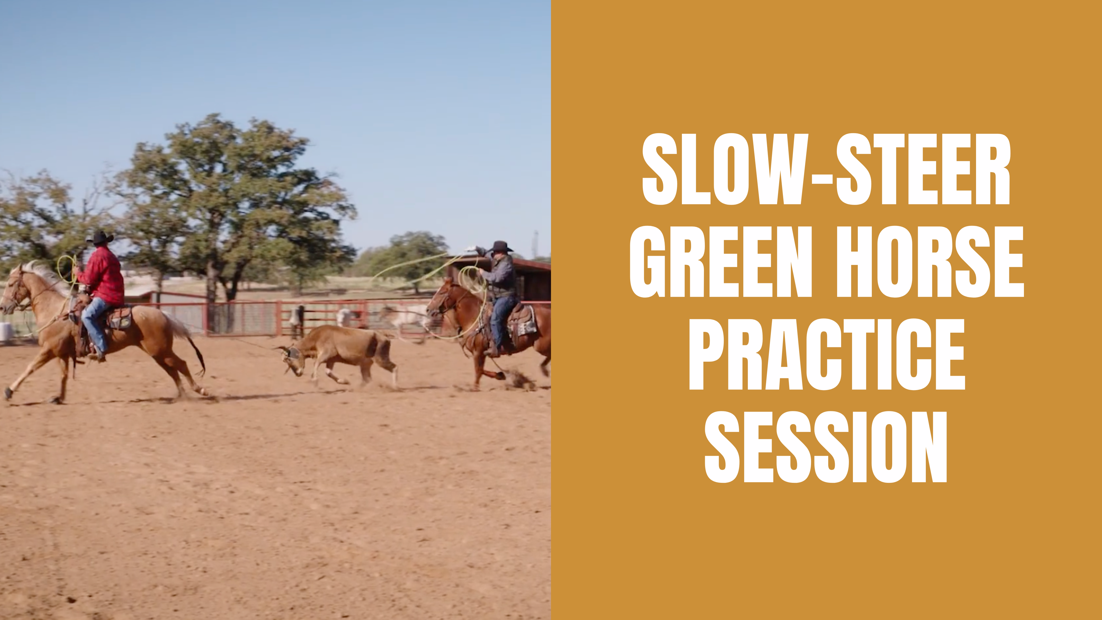 Slow-Steer Green Horse Practice Session