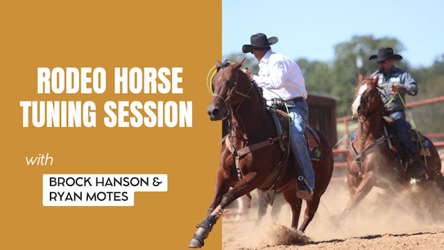 Rodeo Horse Tuning Session