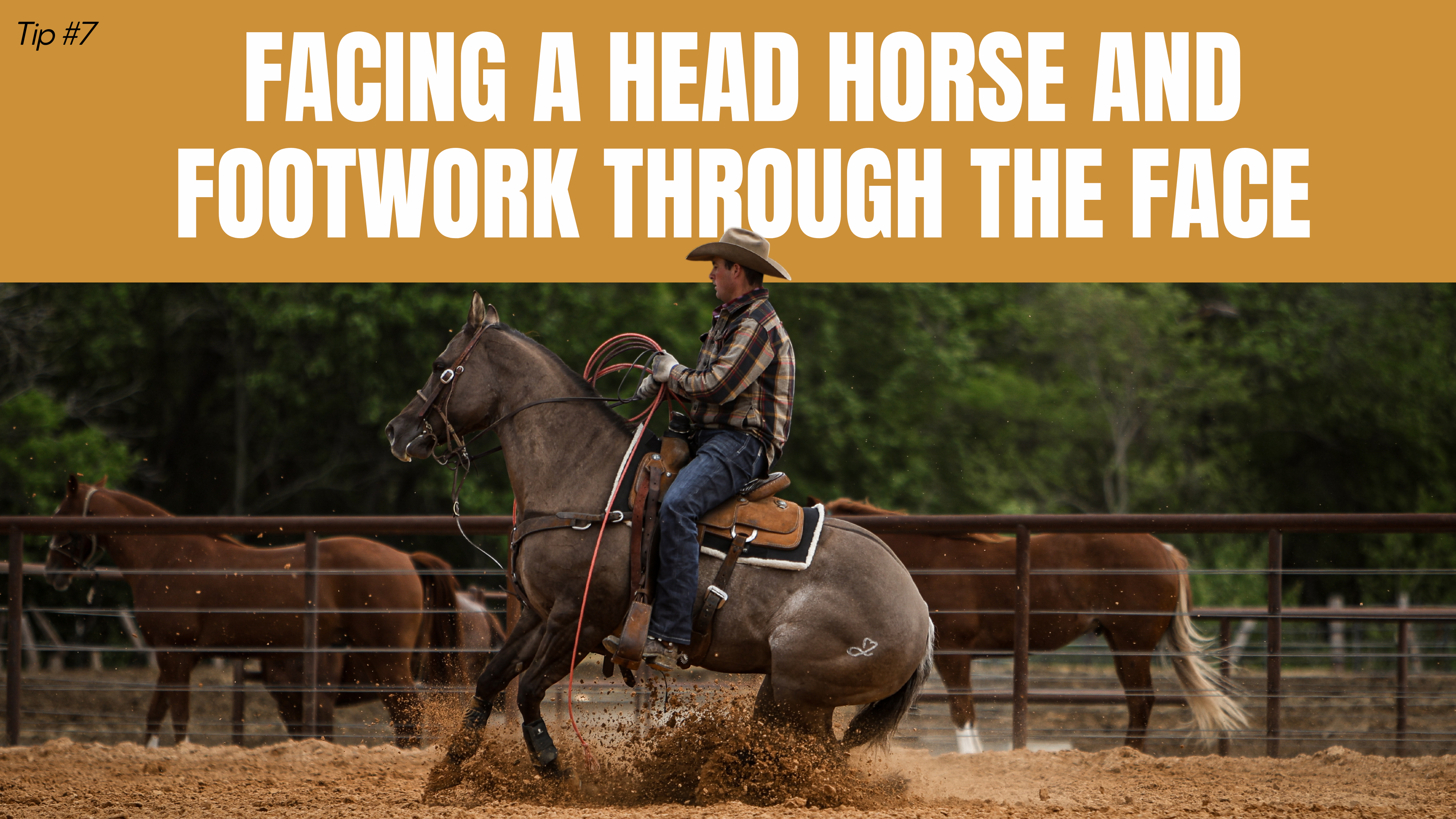 Facing a Head Horse and Footwork Through the Face