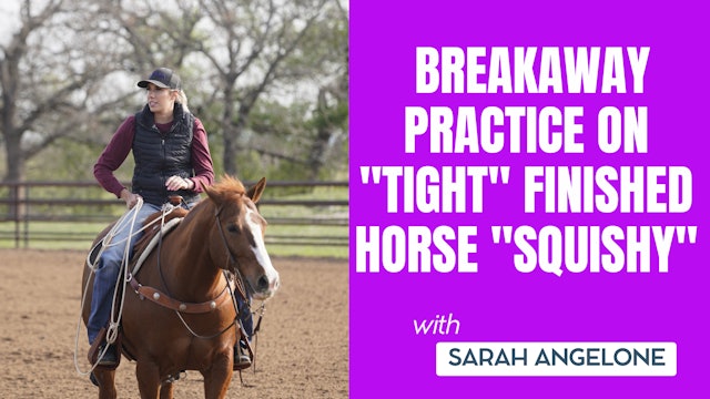 Sarah Angelone Breakaway Practice on "Tight" Finished Horse "Squishy"