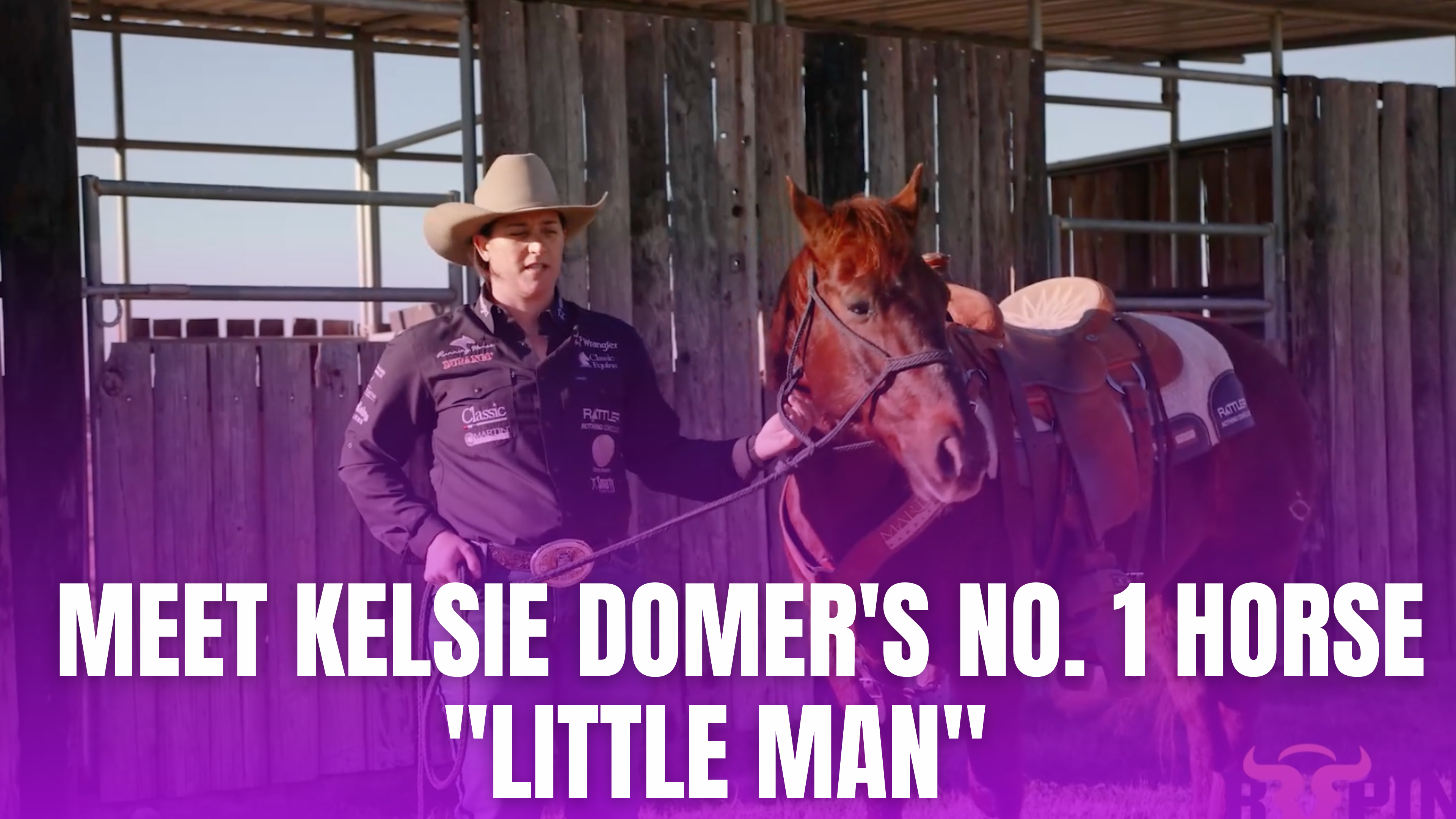  Meet Kelsie Domer's No. 1 Horse "Little Man"