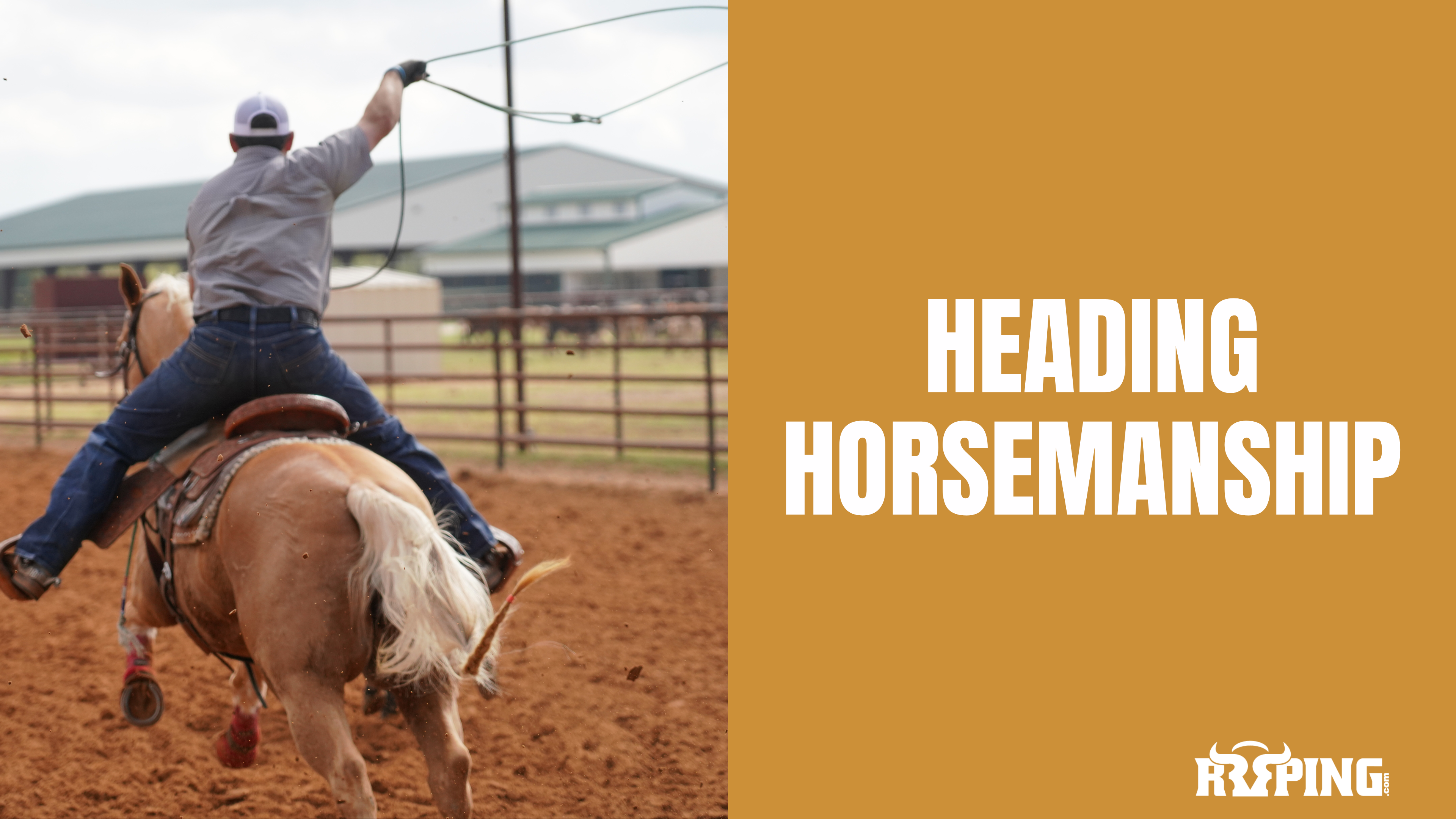 Heading Horsemanship