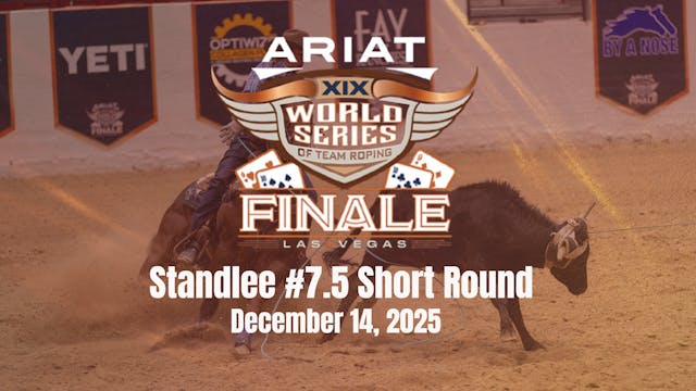 Standlee #7.5 Short Round | Ariat WST...