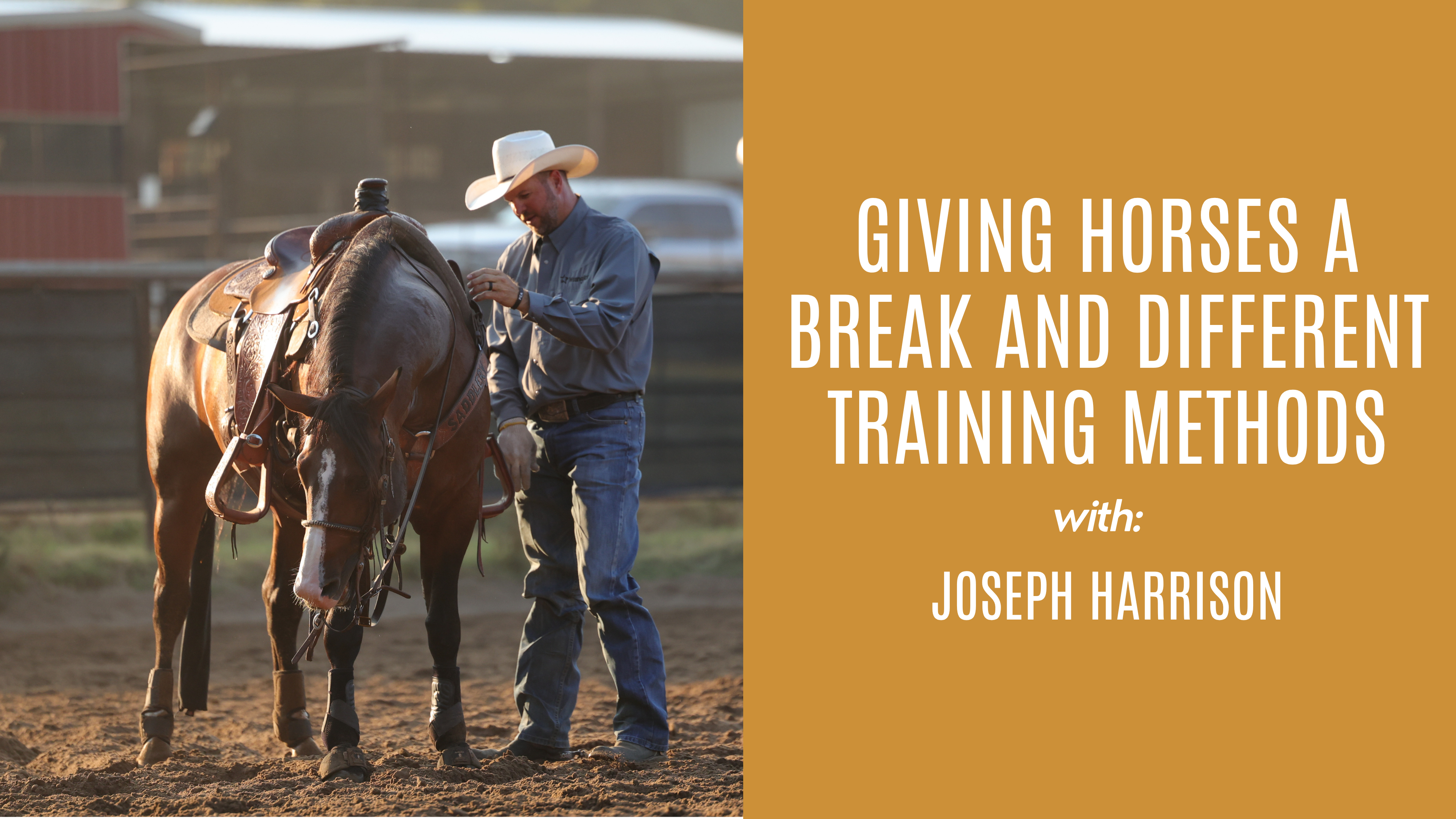 Joseph Harrison: Giving Horses a Break and Different Training Methods