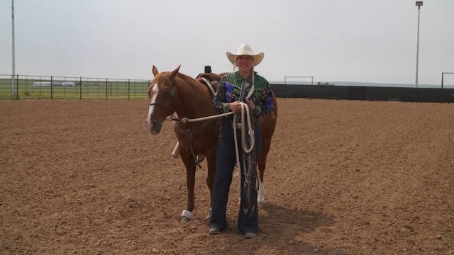 Bridling and Adjustments in Breakaway...