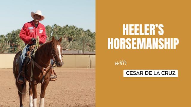 Heeler’s Horsemanship