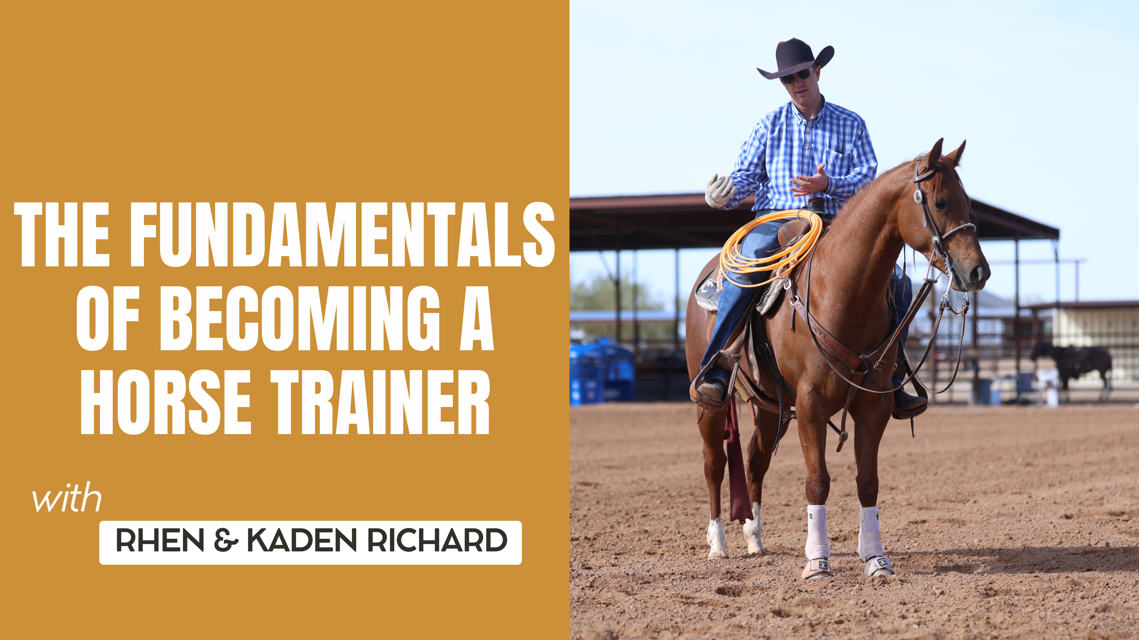 The Fundamentals of Becoming a Horse Trainer