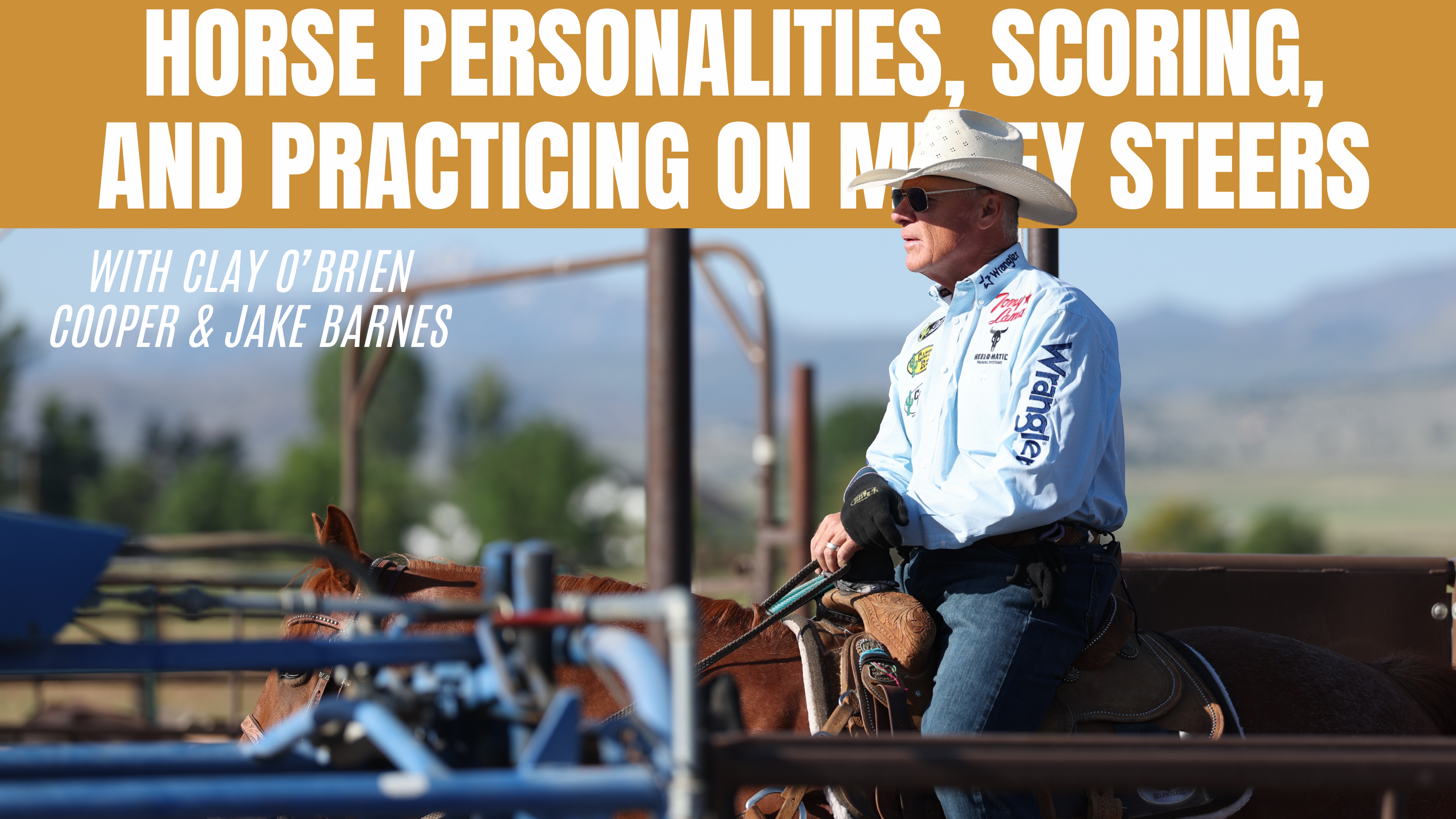 Horse Personalities, Scoring, and Practicing on Muley Steers