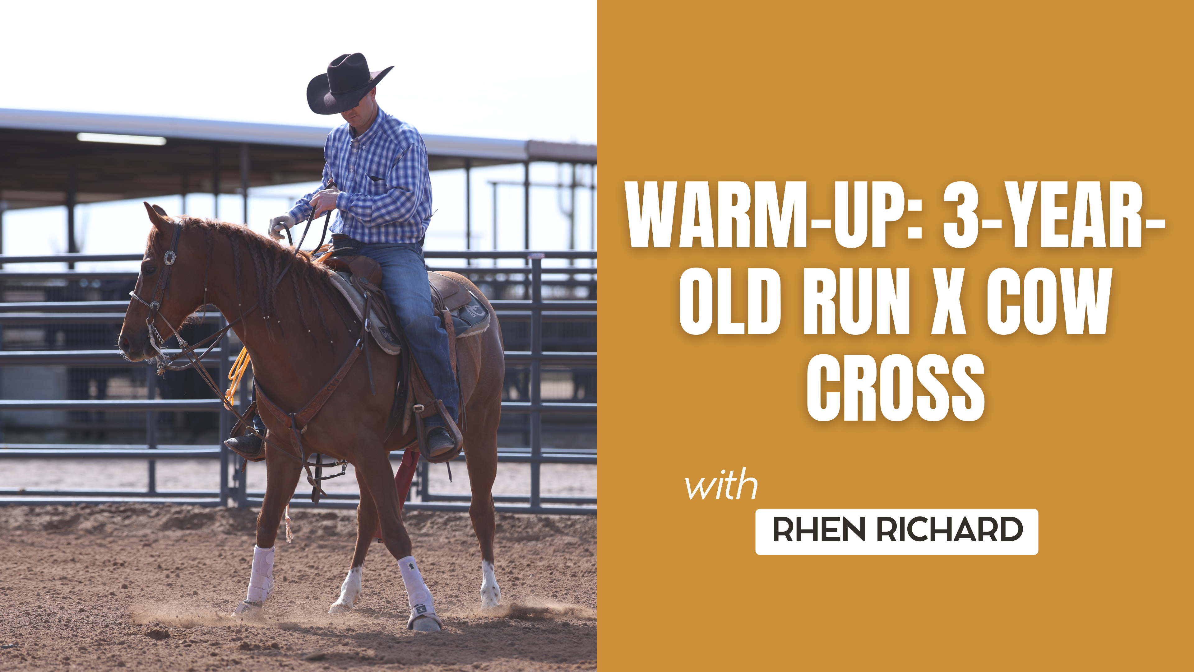 Warm-Up: 3-Year-Old Run x Cow Cross
