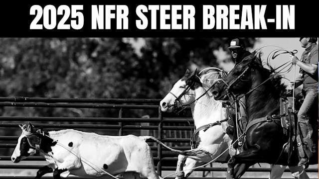 The 2025 NFR Steer Break-In