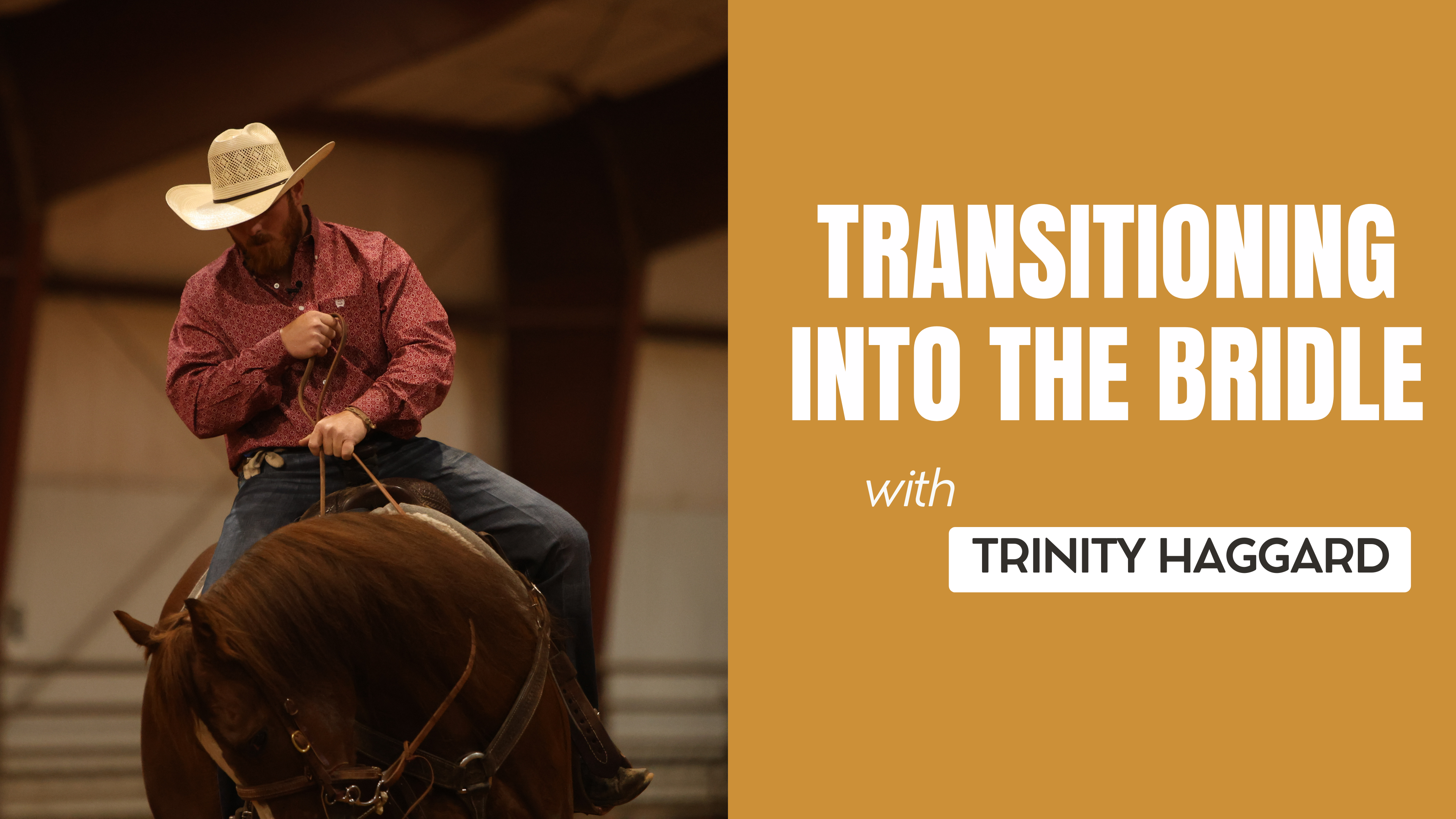 Transitioning Into the Bridle