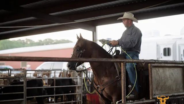 Joseph Harrison: Teaching a Horse to ...