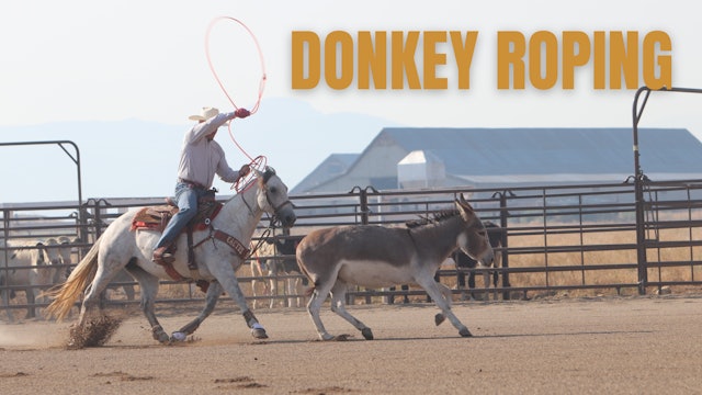 Donkey Roping