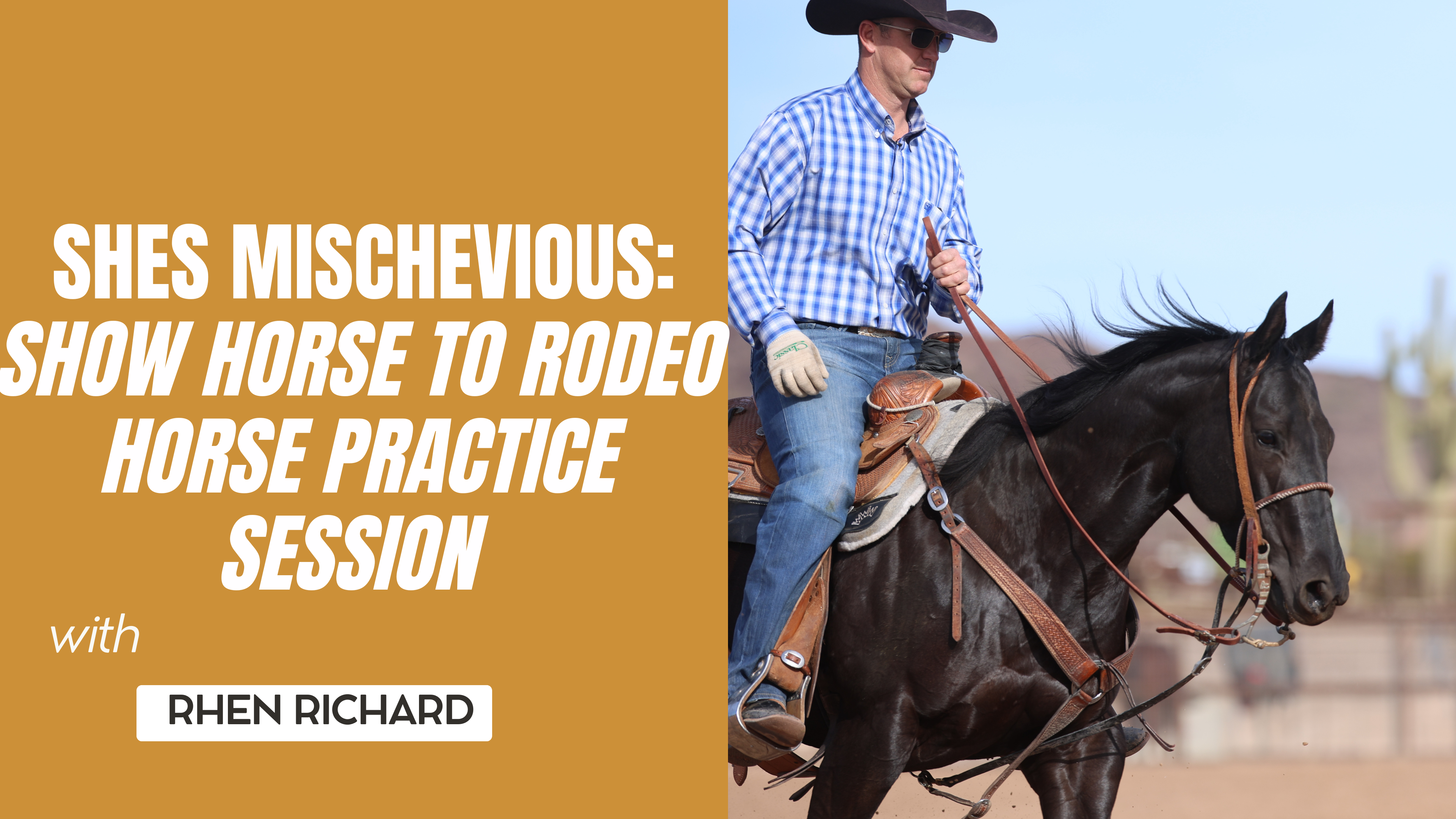 Shes Mischevious: Show Horse to Rodeo Horse Practice Session