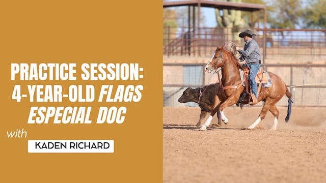 Practice Session: 4-Year-old Flags Es...