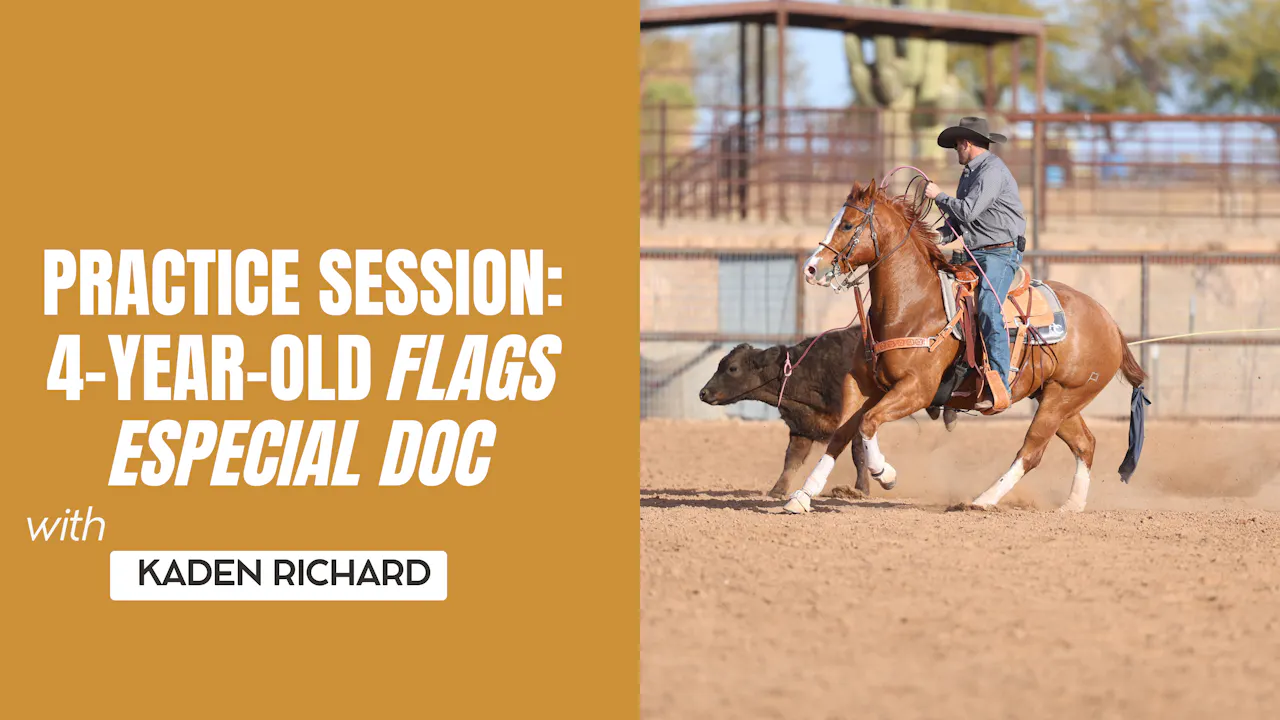 Practice Session: 4-Year-old Flags Especial Doc - Roping․com