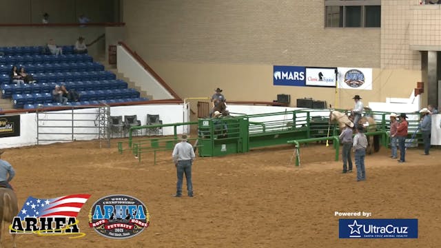 2021 ARHFA Futurity Open Heading Shor...