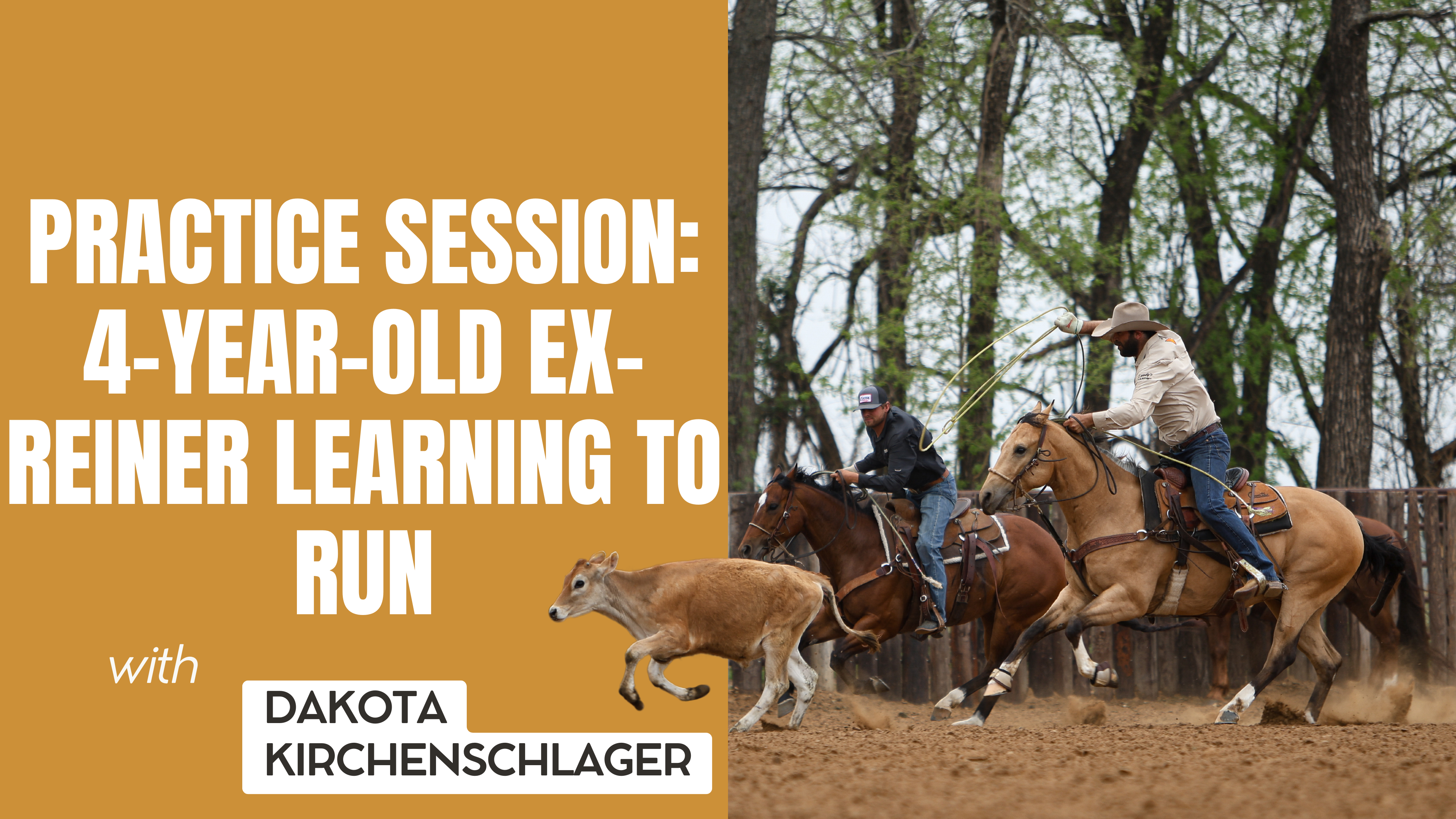 Practice Session: 4-Year-Old Ex-Reiner Learning to Run