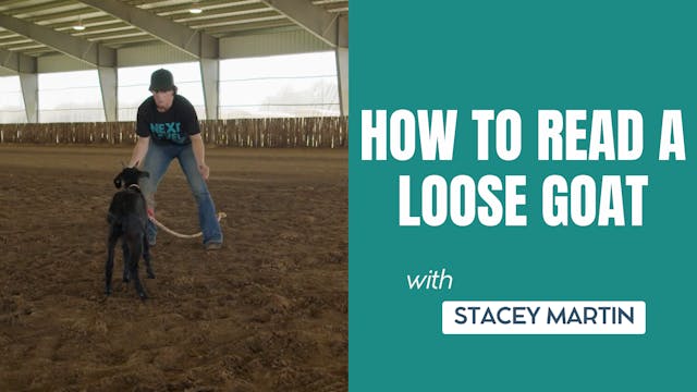 How to Read a Loose Goat