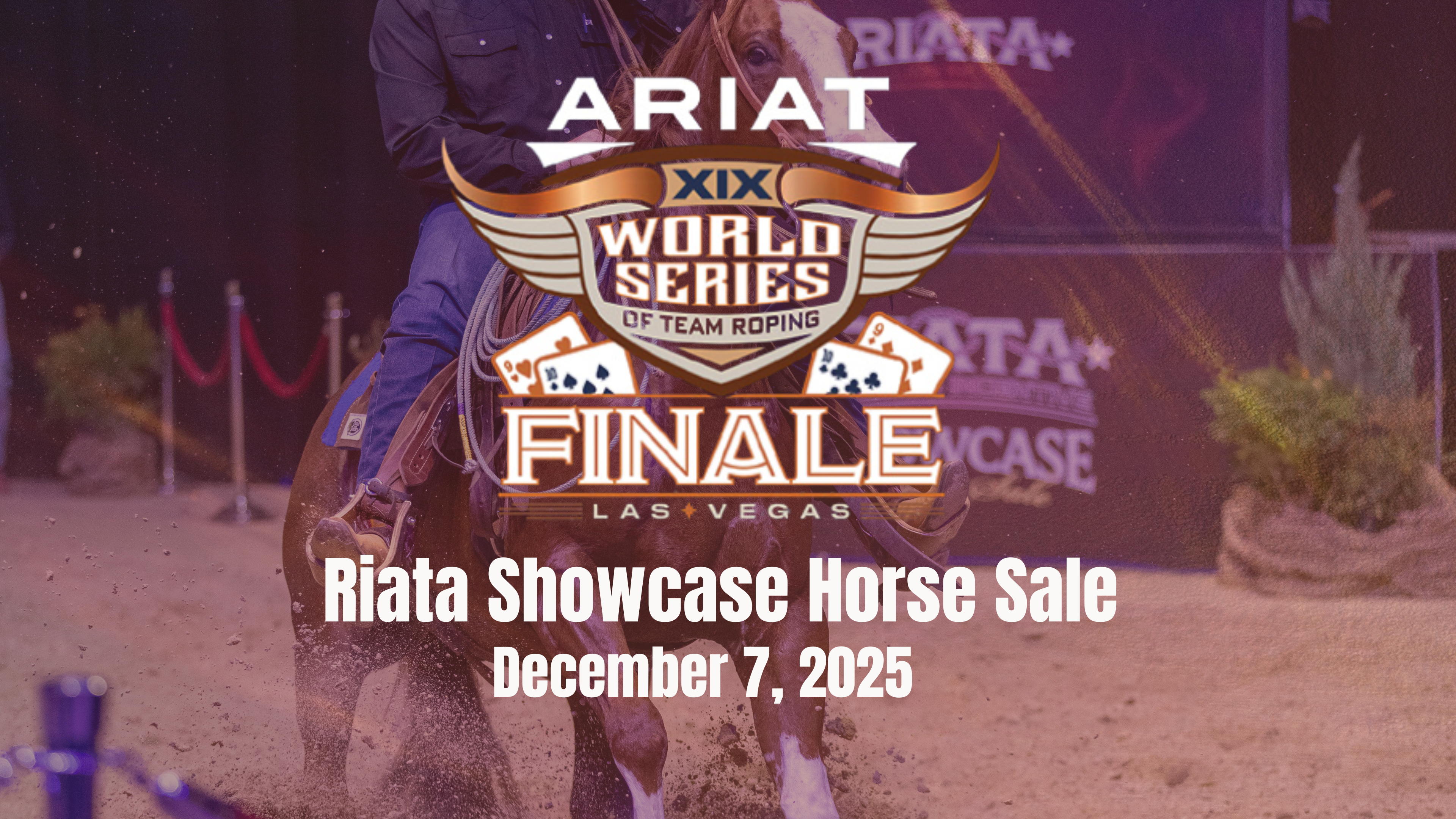 Riata Showcase Horse Sale | December 7, 2025