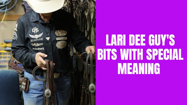Lari Dee Guy's Bits with Special Meaning
