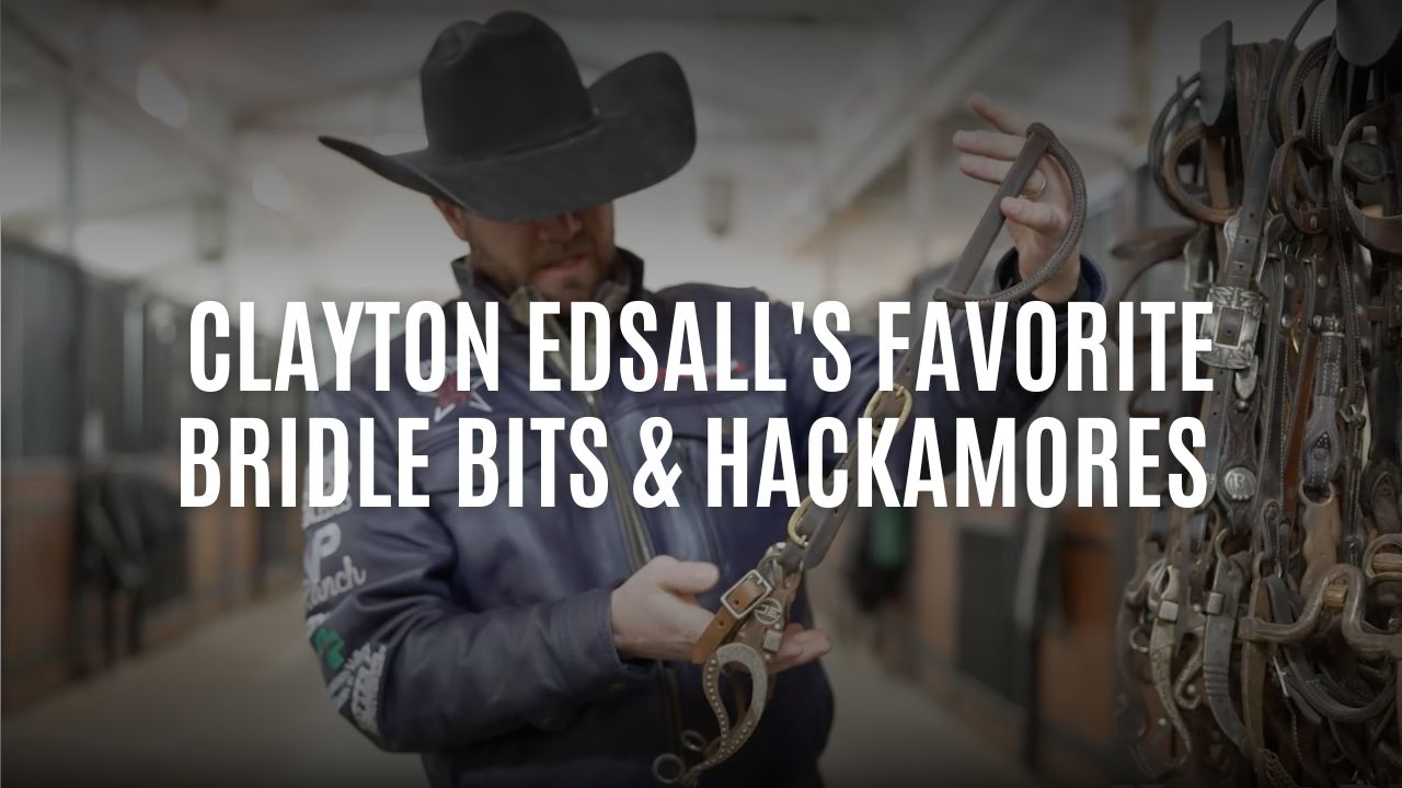 Clayton Edsall's Favorite Bridle Bits & Hackamores