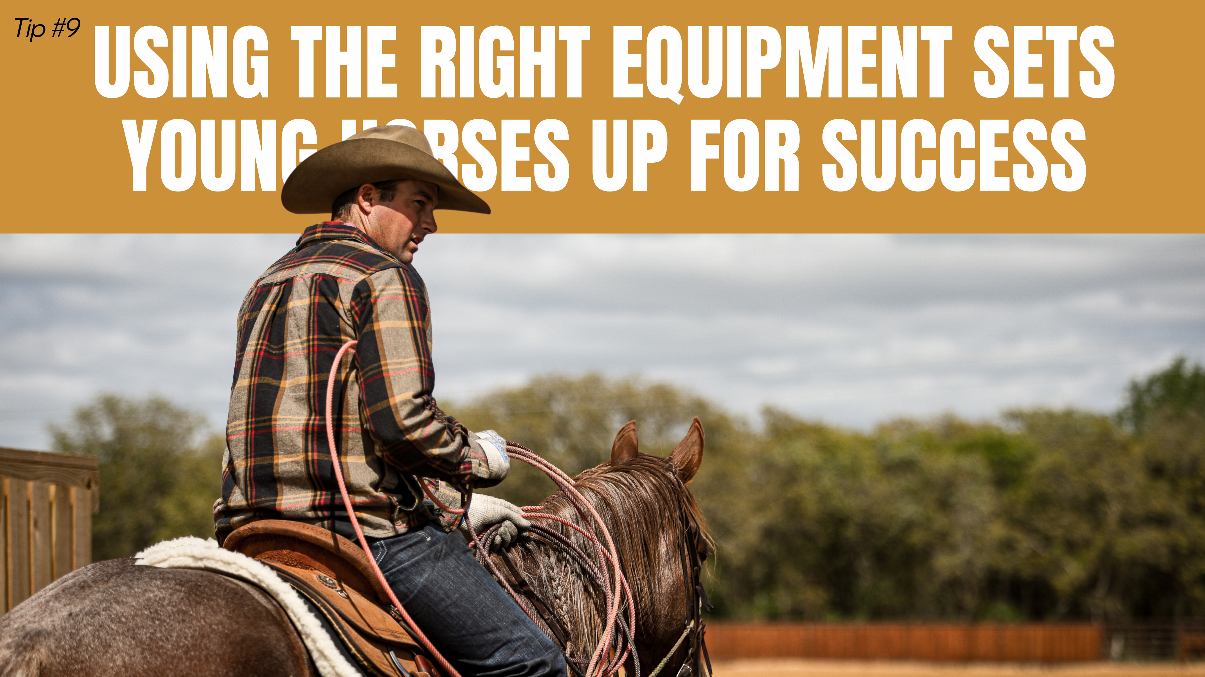 Using the Right Equipment Sets Young Horses Up for Success