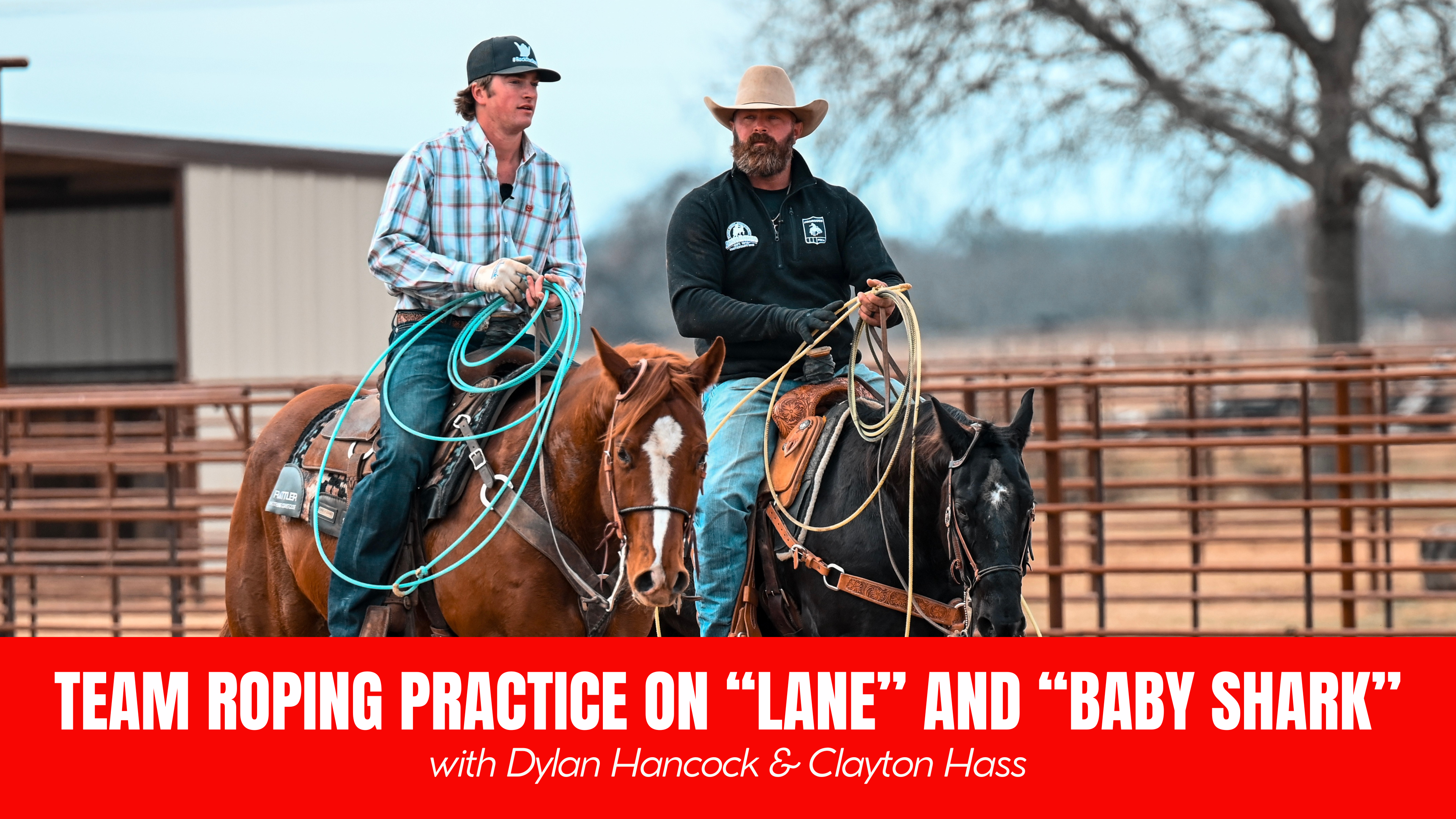 Team Roping Practice on Lane and Baby Shark