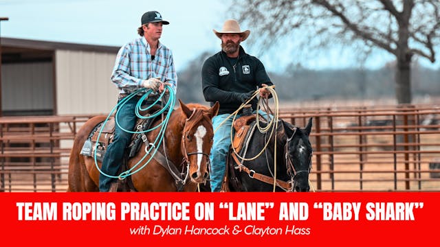 Team Roping Practice on Lane and Baby...