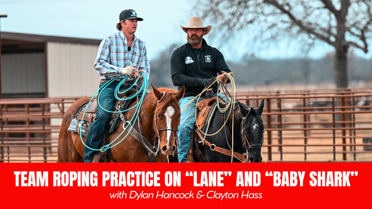 Cyclone Fanning Roping Team Roping Practice on Lane and Baby Shark - Ironman Bound with ...