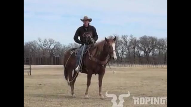 Freeing Up Your Horse