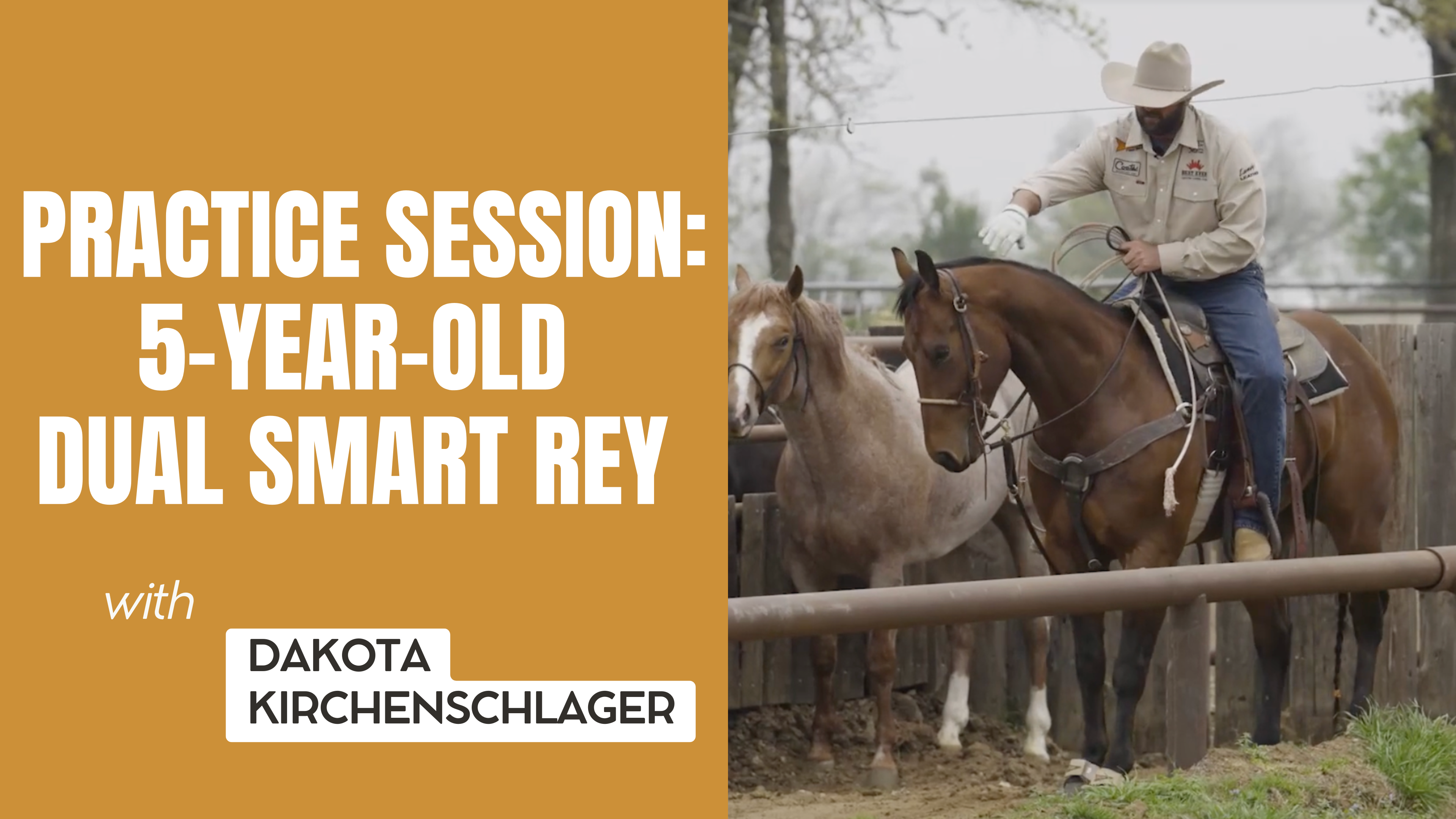 Practice Session: 5-Year-Old Dual Smart Rey