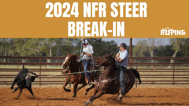 The 2024 NFR Steer Break-In