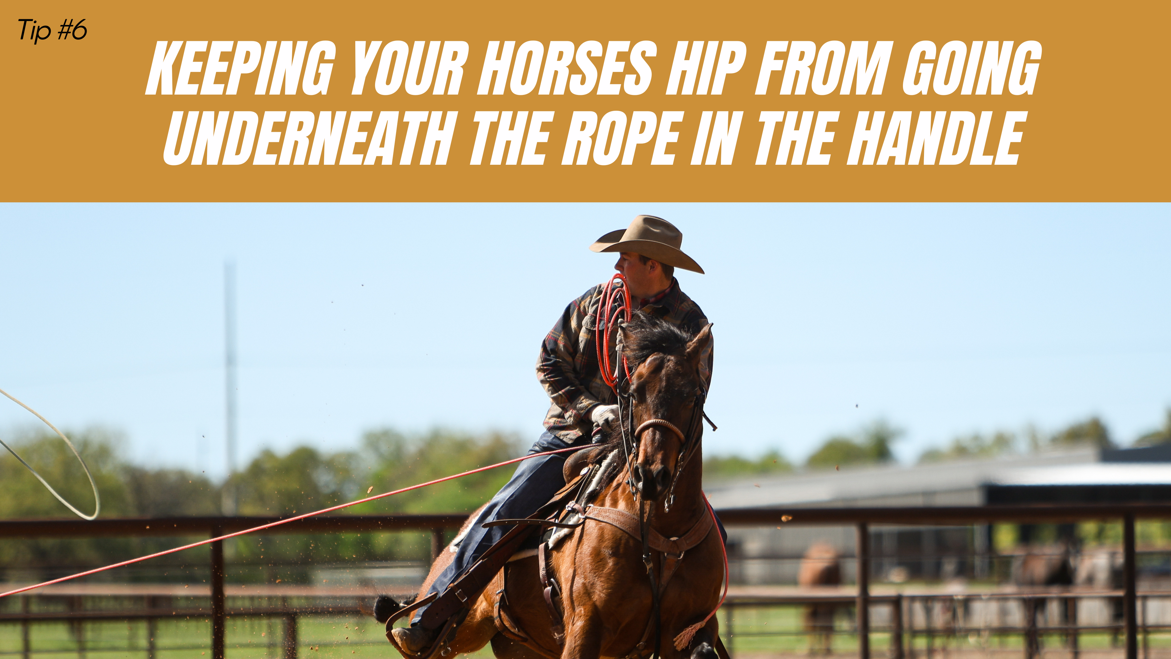 Keeping Your Horses Hip From Going Underneath the Rope in the Handle
