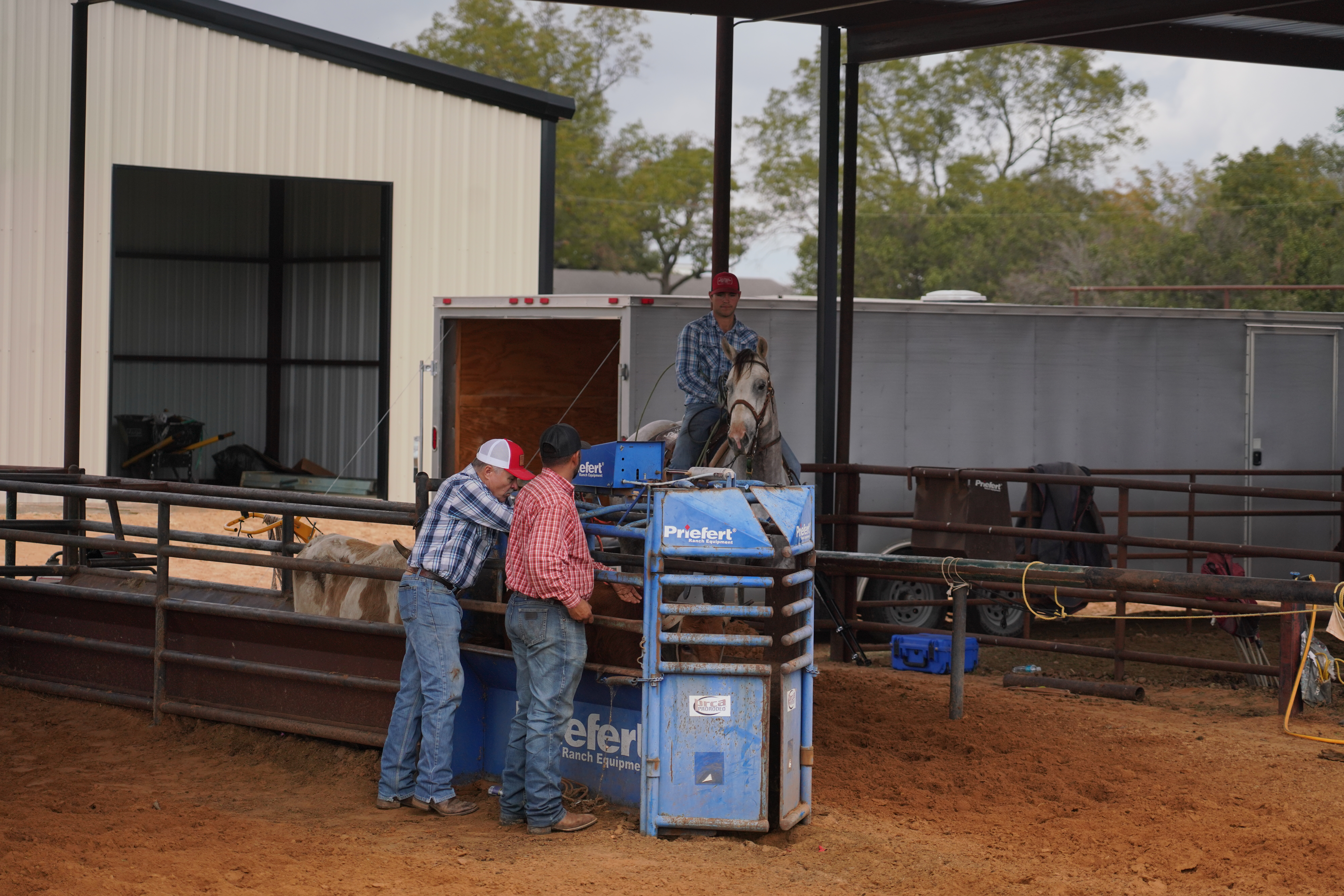 Steer Break-In Sessions